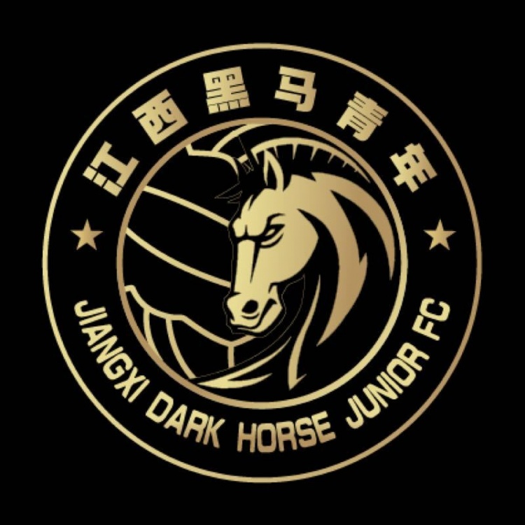  官方：江西黑馬青年完成異地遷移程序，更名為溫州職業(yè)足球俱樂部